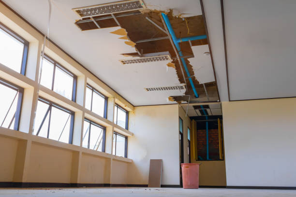 Carpet water damage restoration in Meeker, CO
