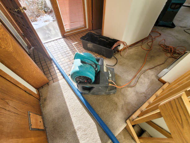 Best Water damage restoration near me  in Meeker, CO