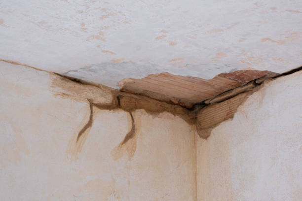 Best Water damage restoration services  in Meeker, CO