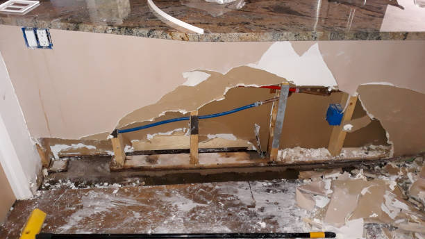 Best Water damage contractors near me  in Meeker, CO