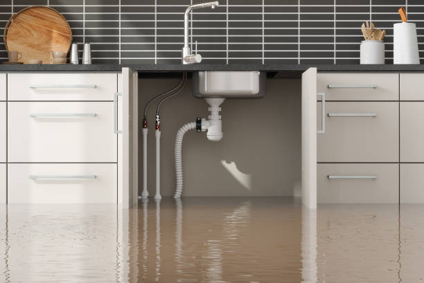 Best Emergency water damage restoration  in Meeker, CO