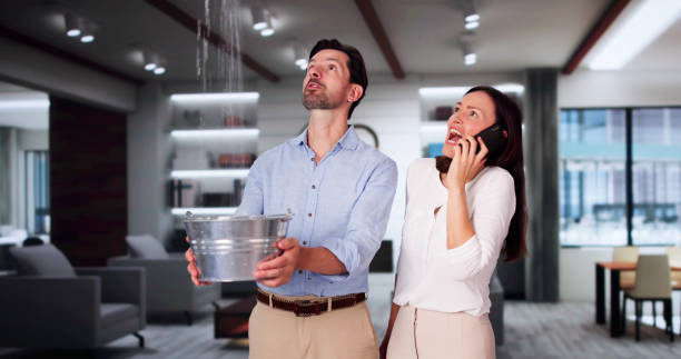 Best 24-hour water damage restoration  in Meeker, CO